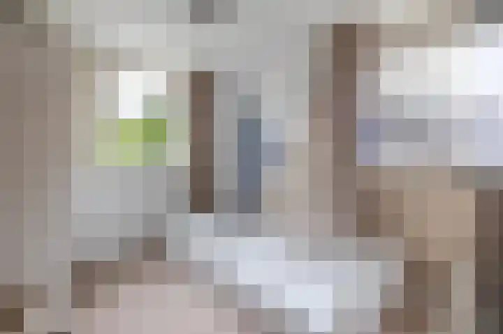 Lytse Leane 31 Frieschepalen thumbnail 26
