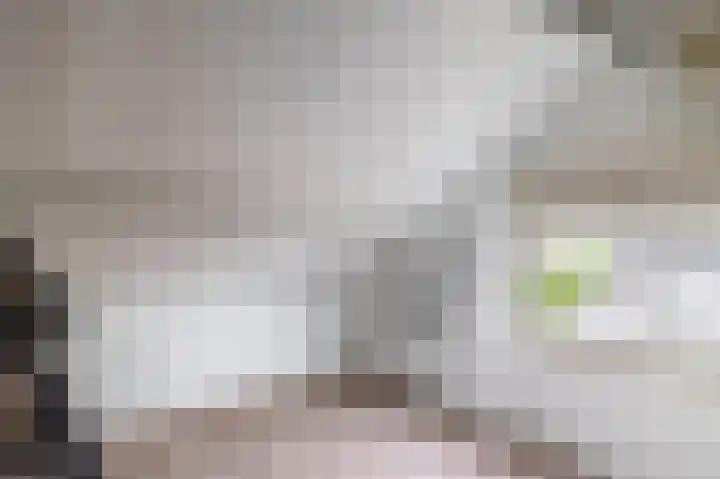 Lytse Leane 31 Frieschepalen thumbnail 31