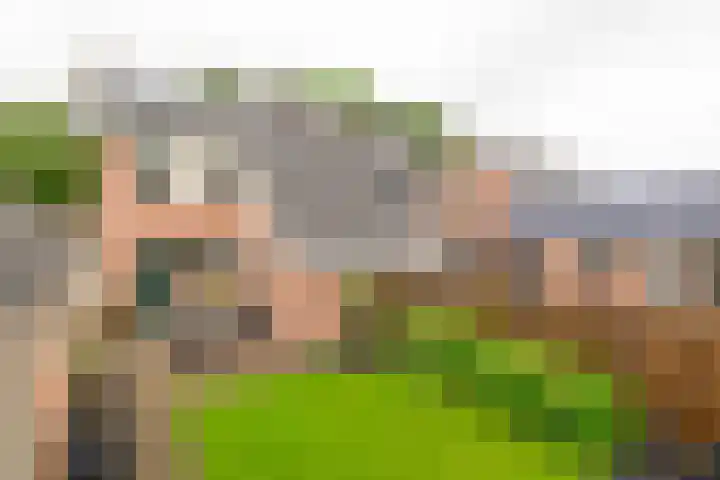 Lytse Leane 31 Frieschepalen thumbnail 34
