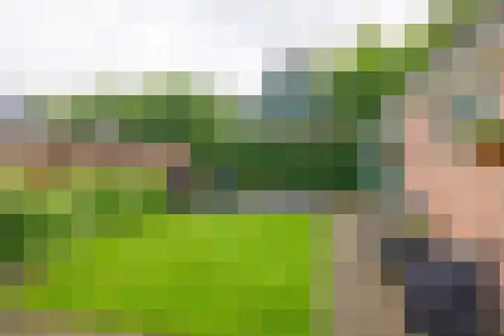 Lytse Leane 31 Frieschepalen thumbnail 37