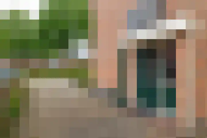Lytse Leane 31 Frieschepalen thumbnail 4