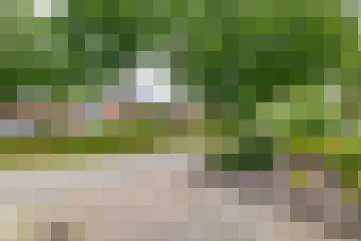 Lytse Leane 31 Frieschepalen thumbnail 41