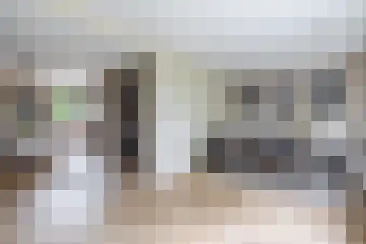 Lytse Leane 31 Frieschepalen thumbnail 8