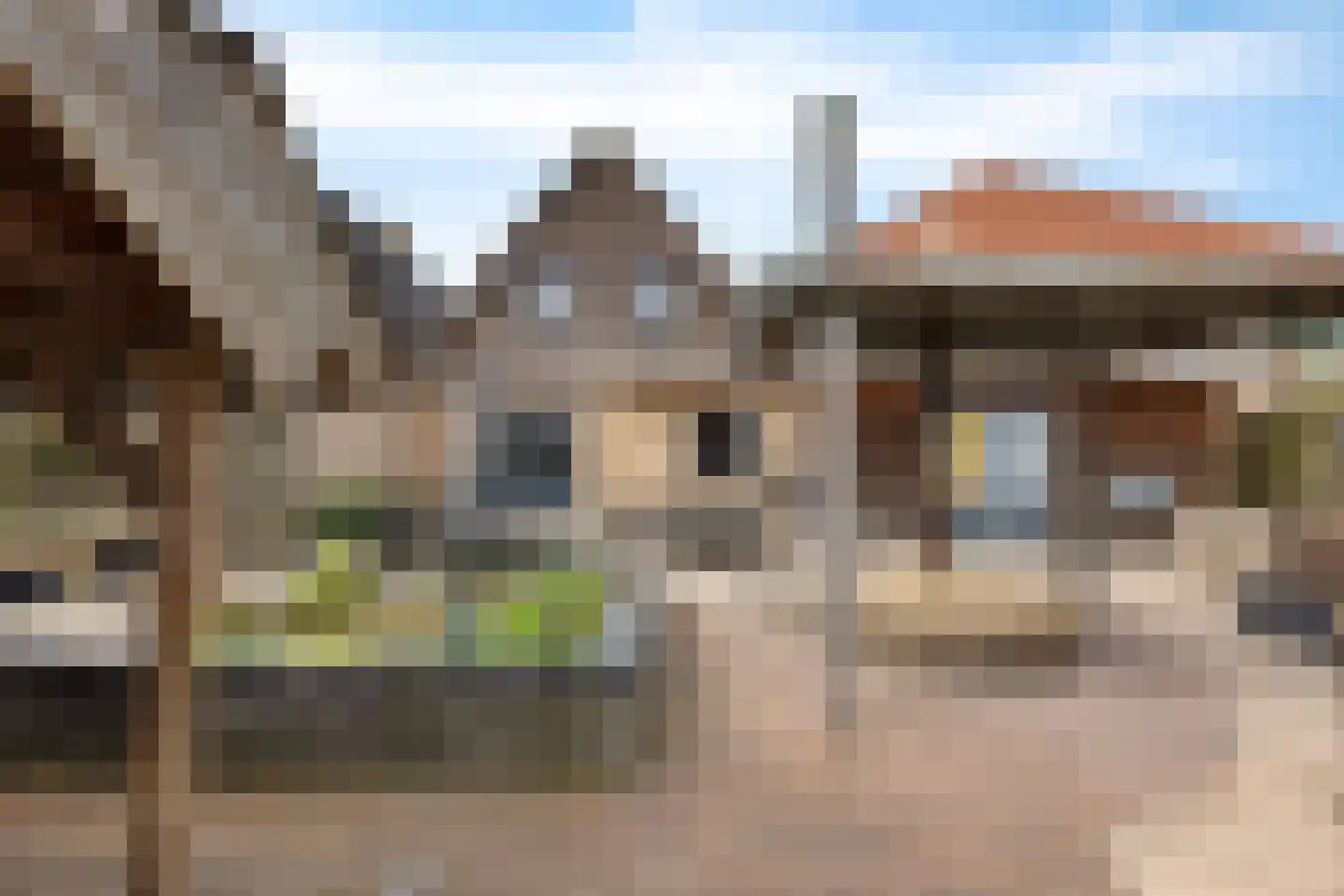 Lytse Leane 41 Frieschepalen foto 2