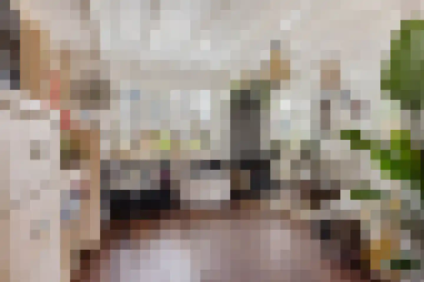 Lytse Leane 41 Frieschepalen thumbnail 20