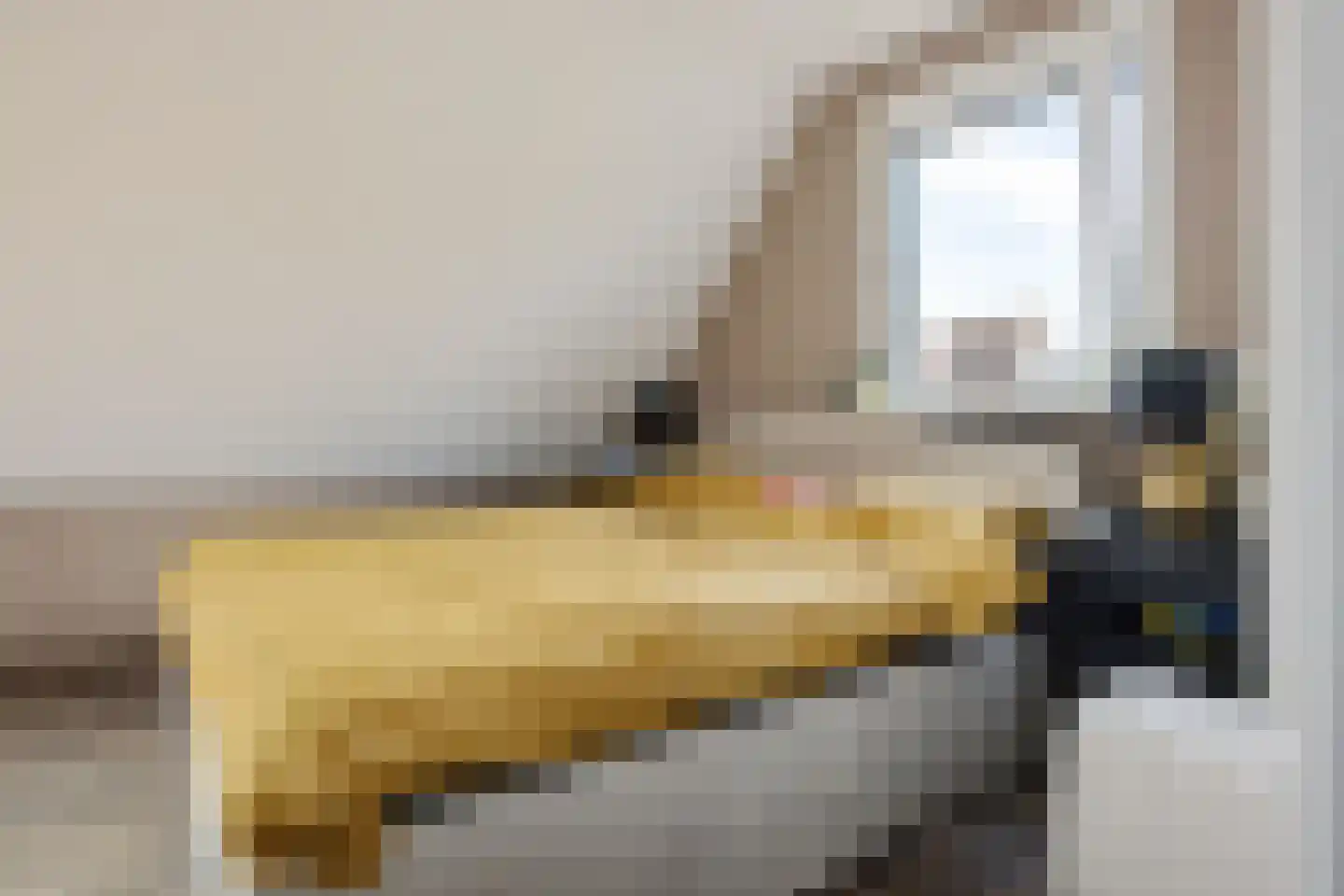 Lytse Leane 41 Frieschepalen thumbnail 32