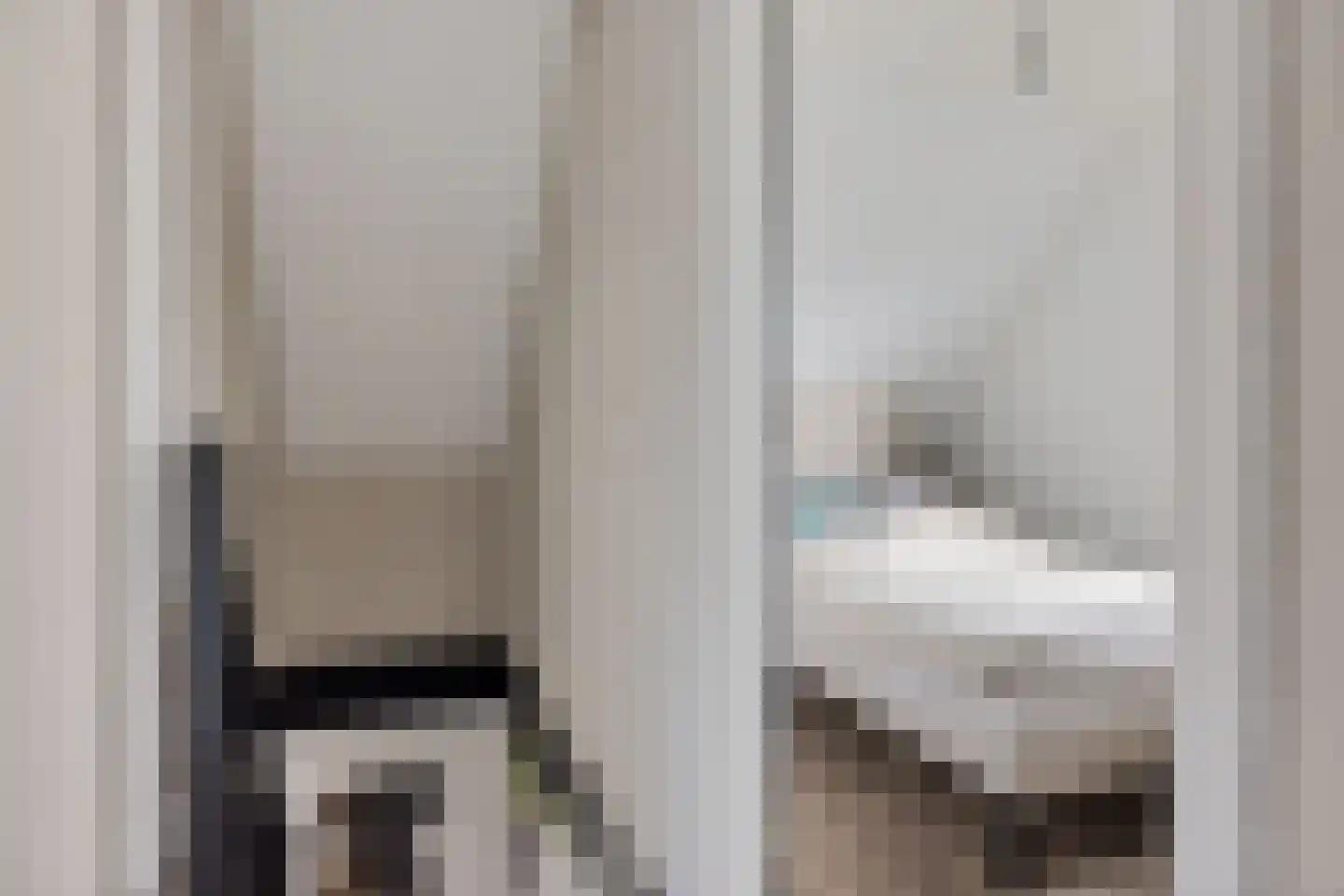 Lytse Leane 41 Frieschepalen thumbnail 34