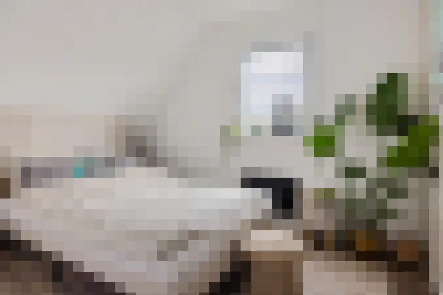Lytse Leane 41 Frieschepalen thumbnail 35
