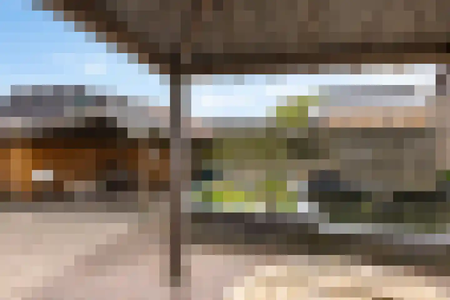 Lytse Leane 41 Frieschepalen thumbnail 44