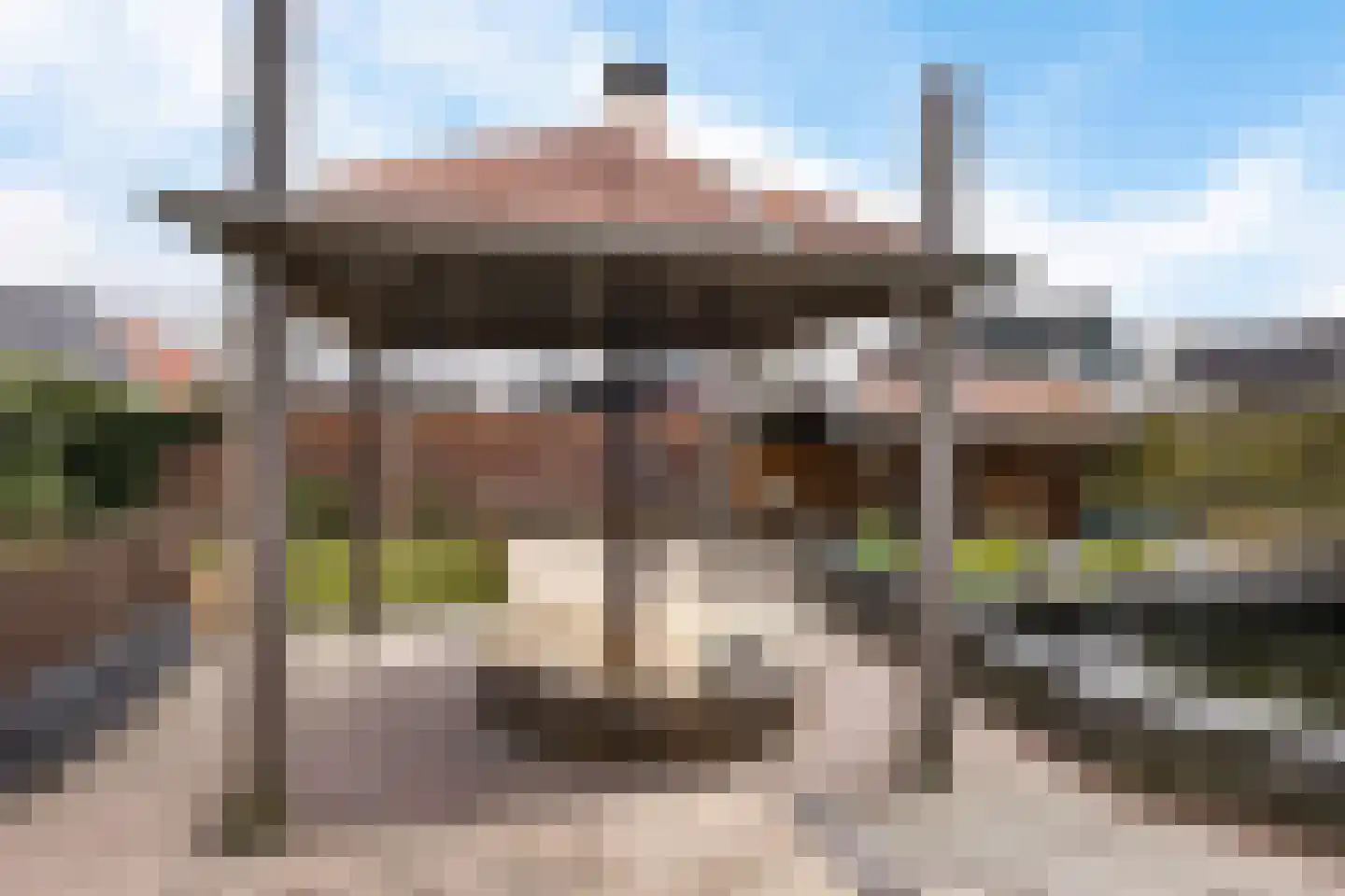 Lytse Leane 41 Frieschepalen thumbnail 45