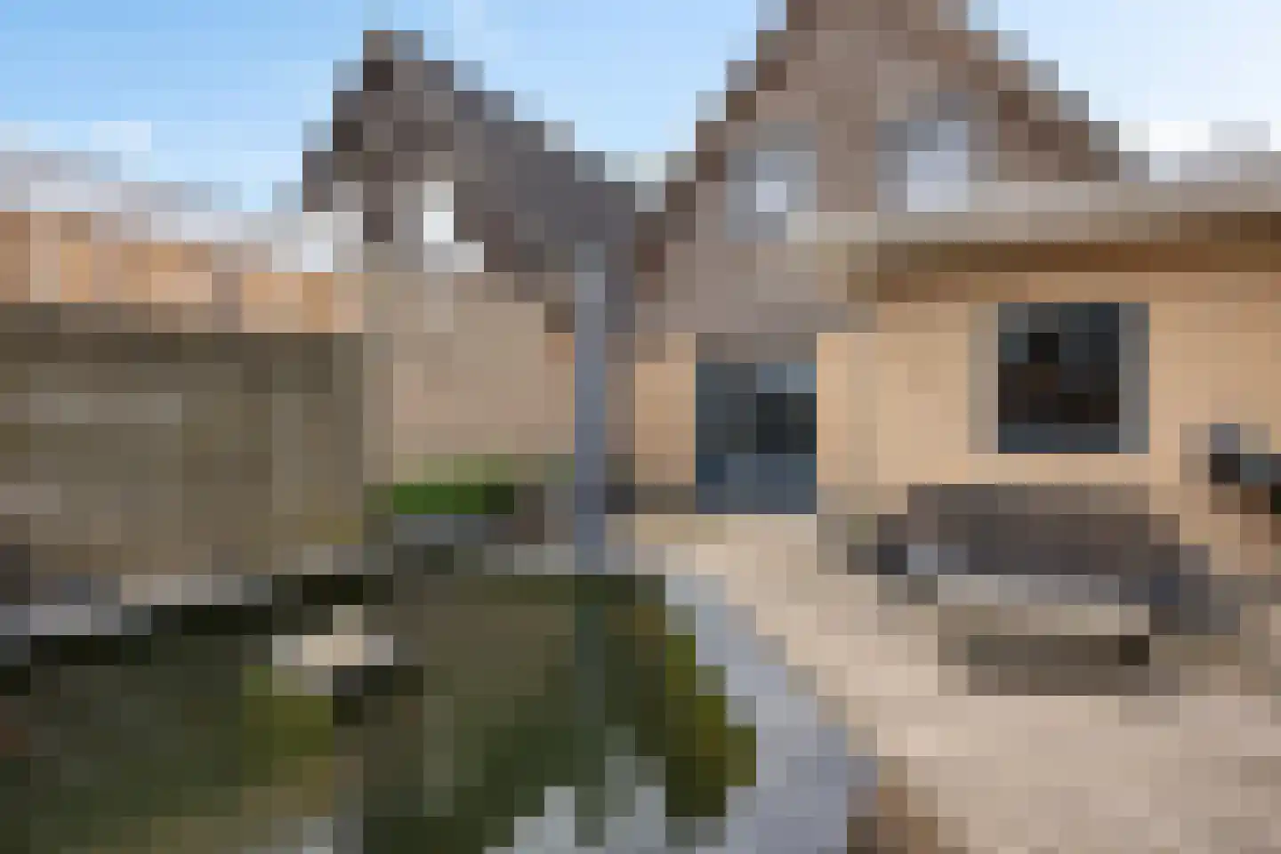 Lytse Leane 41 Frieschepalen thumbnail 47