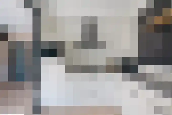Lytse Leane 9 Frieschepalen thumbnail 10