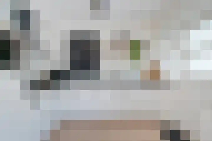 Lytse Leane 9 Frieschepalen thumbnail 11