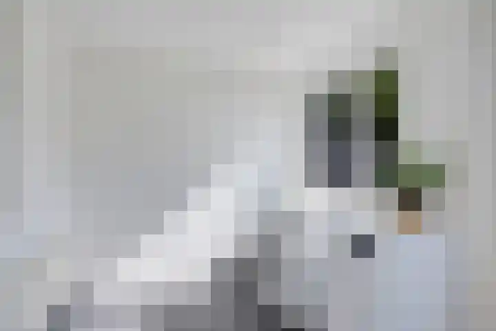 Lytse Leane 9 Frieschepalen thumbnail 15