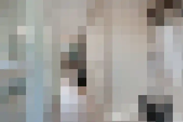 Lytse Leane 9 Frieschepalen thumbnail 16