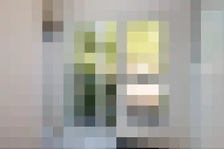 Lytse Leane 9 Frieschepalen thumbnail 17
