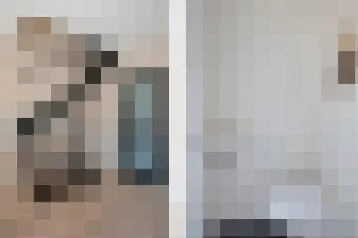 Lytse Leane 9 Frieschepalen thumbnail 18