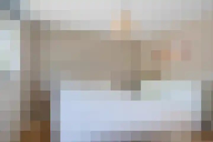Lytse Leane 9 Frieschepalen thumbnail 22