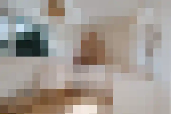 Lytse Leane 9 Frieschepalen thumbnail 24