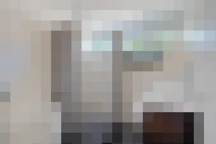 Lytse Leane 9 Frieschepalen thumbnail 27