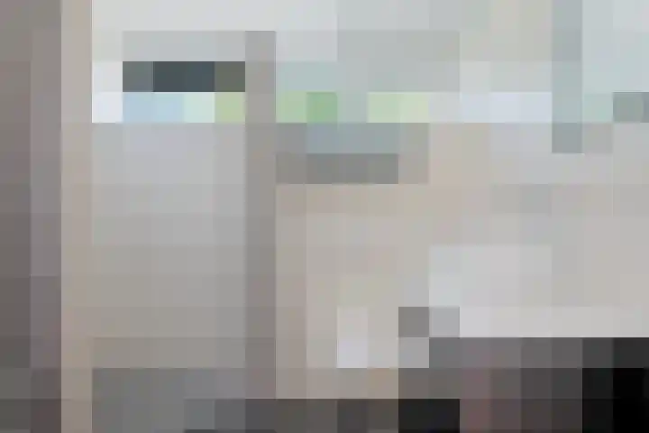Lytse Leane 9 Frieschepalen thumbnail 29