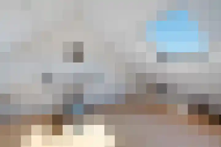 Lytse Leane 9 Frieschepalen thumbnail 32
