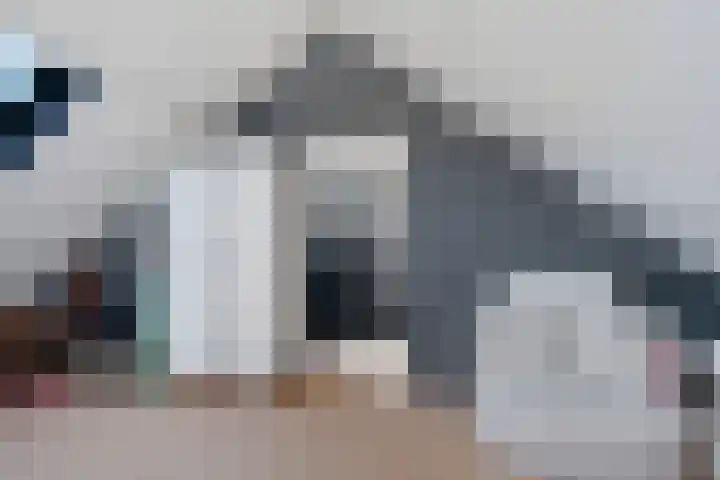 Lytse Leane 9 Frieschepalen thumbnail 33