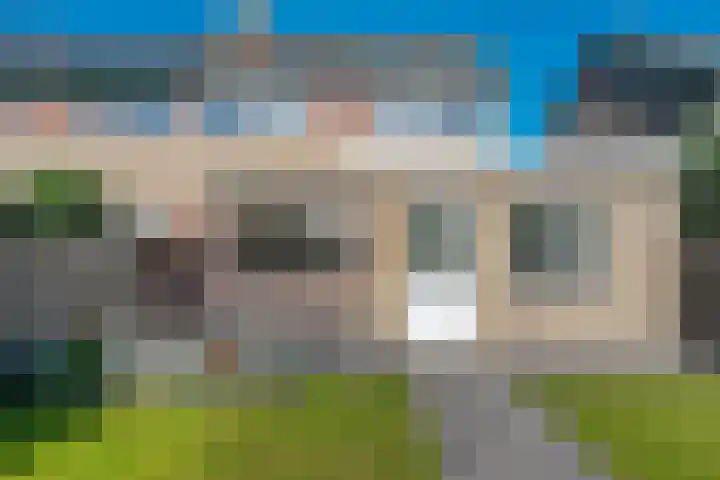 Lytse Leane 9 Frieschepalen thumbnail 35