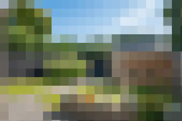 Lytse Leane 9 Frieschepalen thumbnail 37