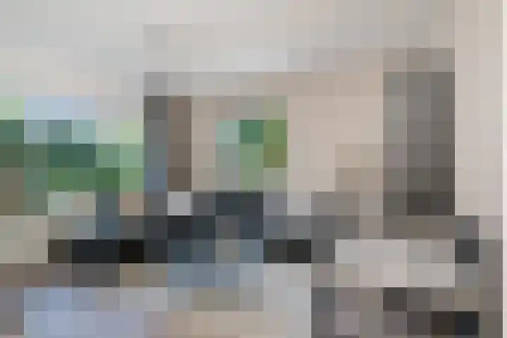 Lytse Leane 9 Frieschepalen thumbnail 4