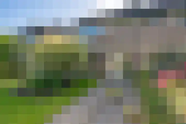 Lytse Leane 9 Frieschepalen thumbnail 45