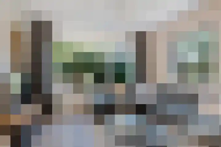 Lytse Leane 9 Frieschepalen thumbnail 6