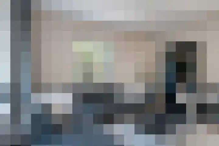Lytse Leane 9 Frieschepalen thumbnail 7