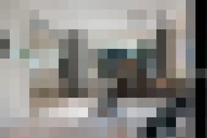 Lytse Leane 9 Frieschepalen thumbnail 8