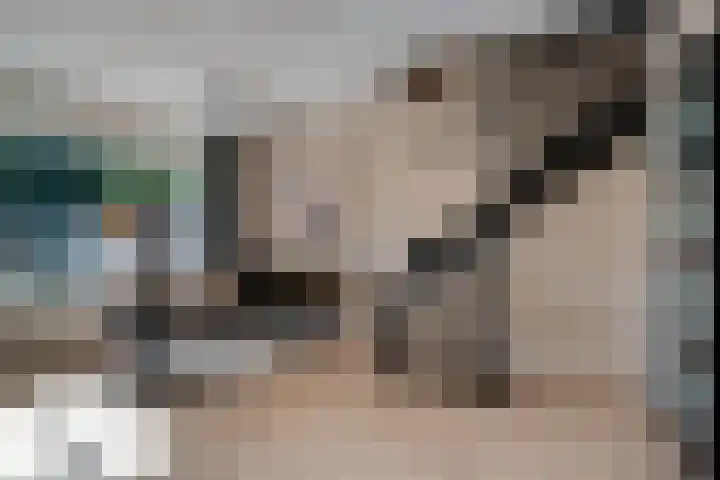 Lytse Leane 9 Frieschepalen thumbnail 9