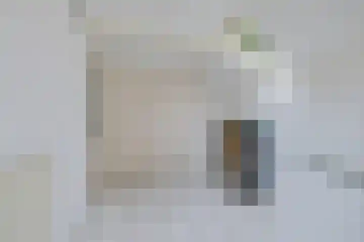 Lytse Loane 12 Ie thumbnail 11