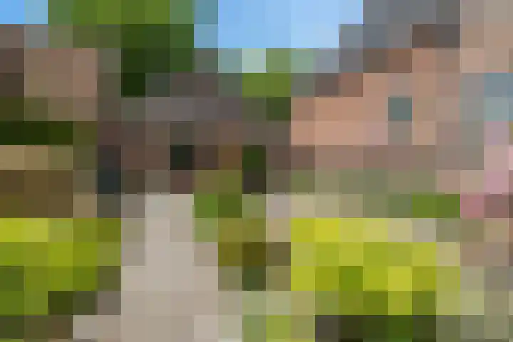 Lytse Loane 12 Ie foto 2