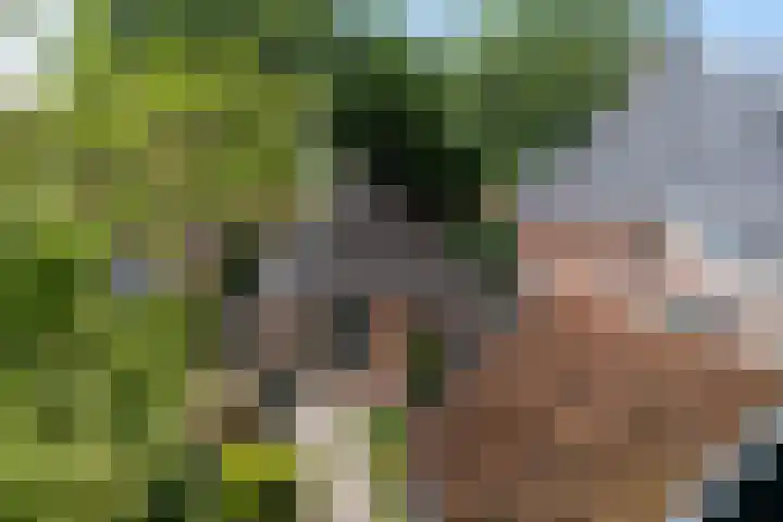 Lytse Loane 12 Ie thumbnail 20