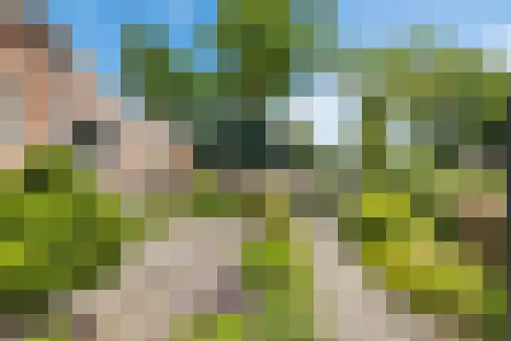Lytse Loane 12 Ie thumbnail 22