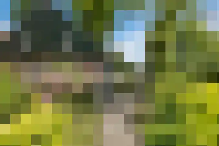 Lytse Loane 12 Ie thumbnail 23
