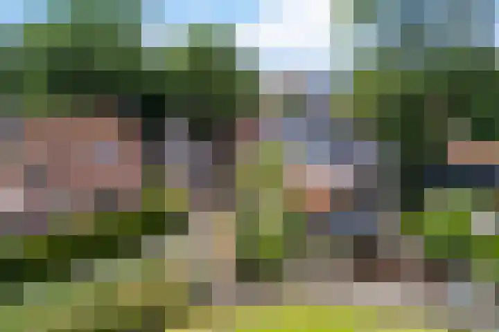Lytse Loane 12 Ie thumbnail 24