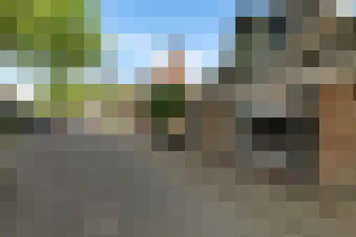 Lytse Loane 12 Ie thumbnail 25