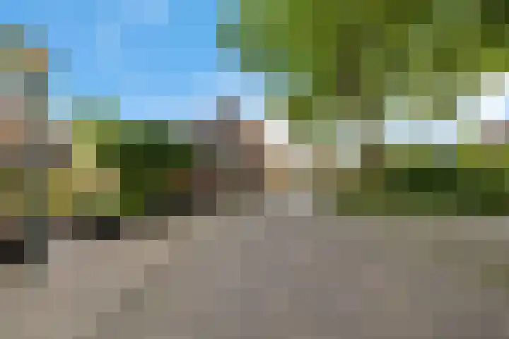 Lytse Loane 12 Ie thumbnail 26