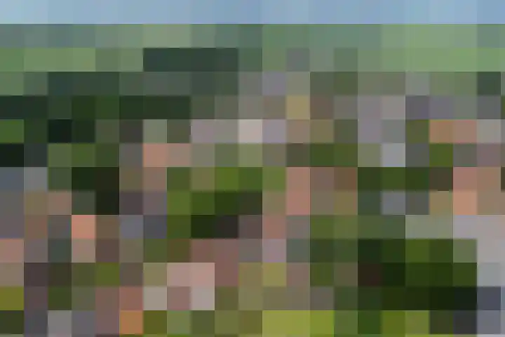 Lytse Loane 12 Ie thumbnail 4