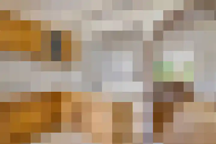 Lytse Loane 12 Ie thumbnail 8