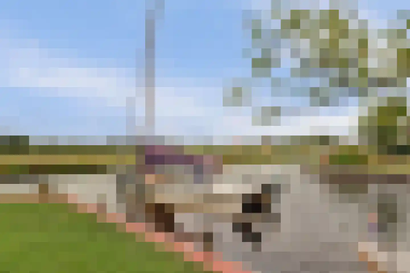 Lytse Mar 20 Idskenhuizen thumbnail 34