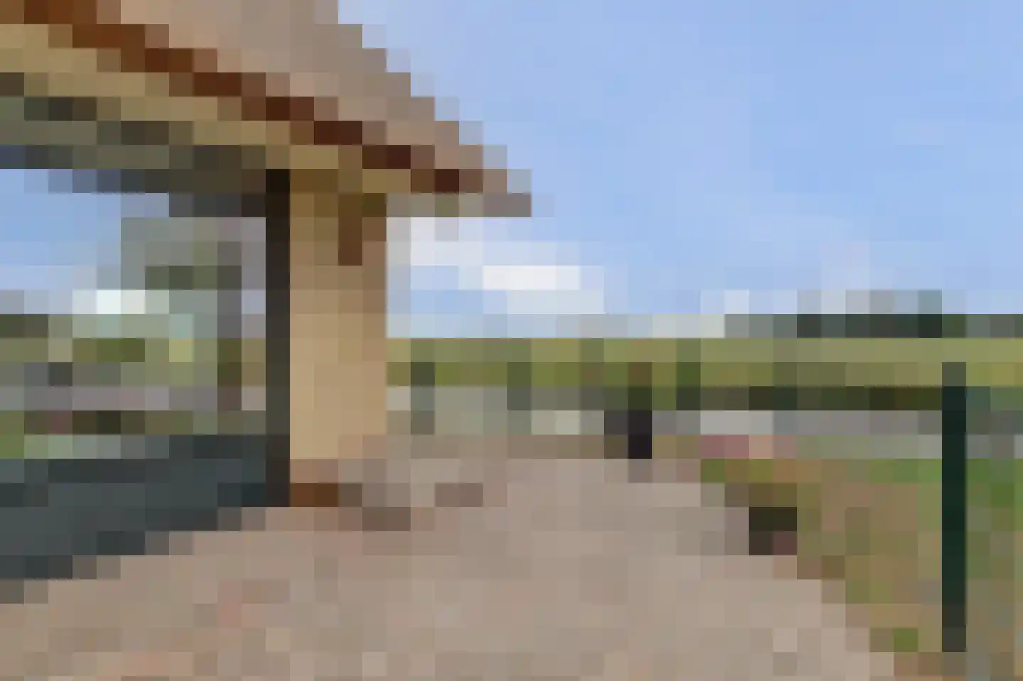 Lytse Mar 20 Idskenhuizen thumbnail 41