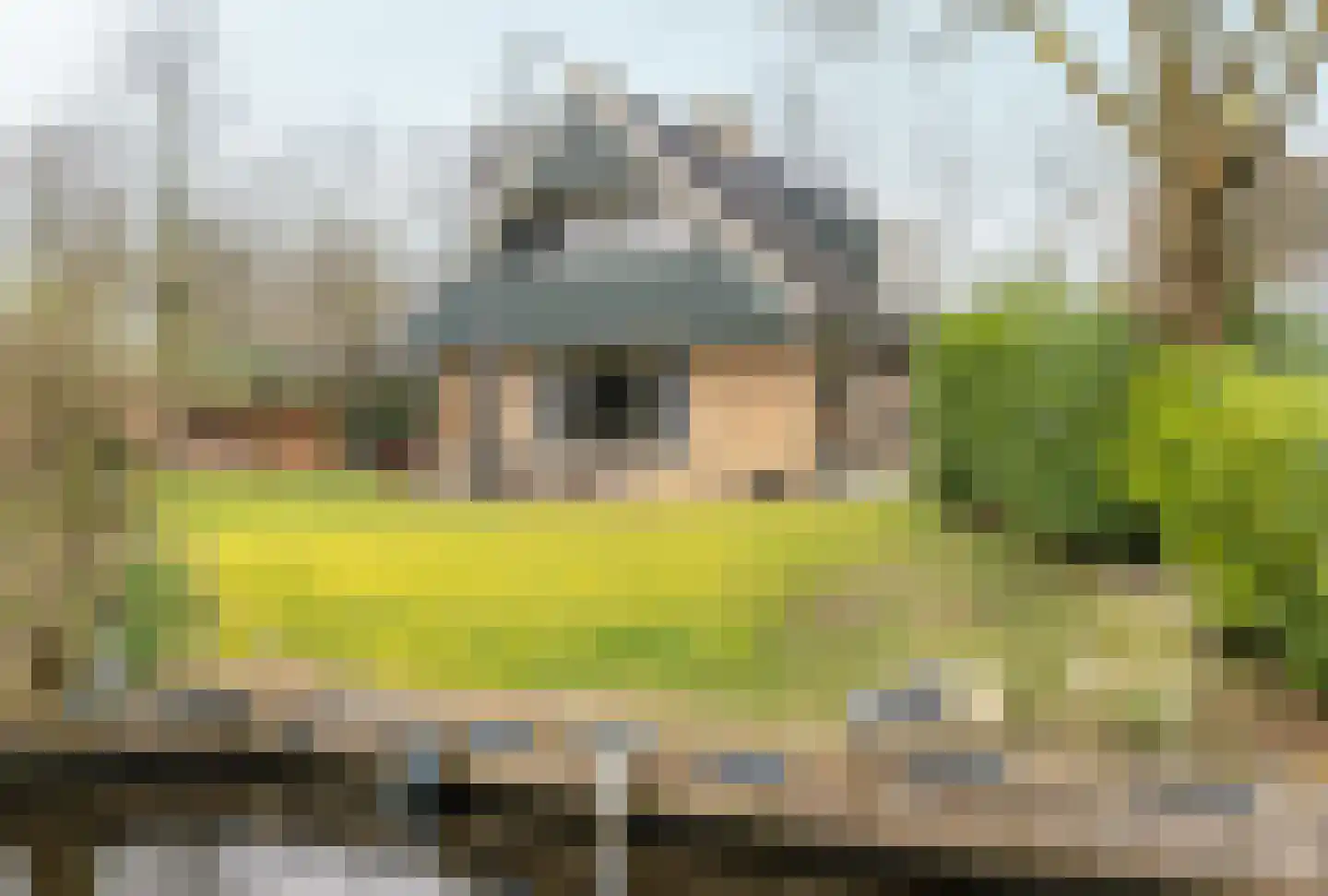 Lytse Mar 38 RECR Idskenhuizen