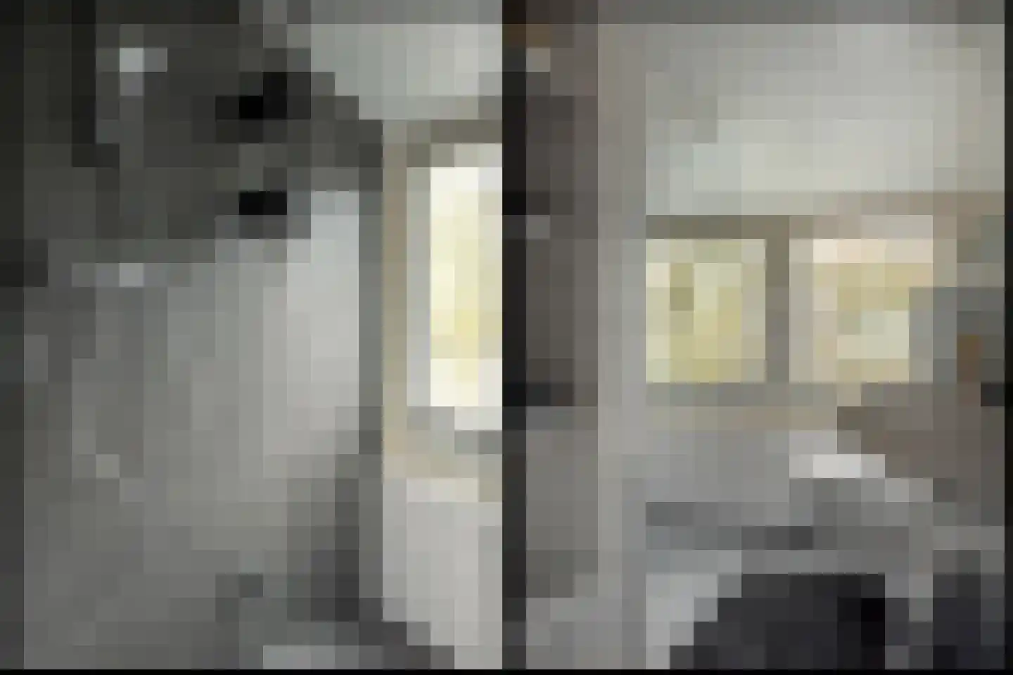 Lytse Mar 38 RECR Idskenhuizen thumbnail 32