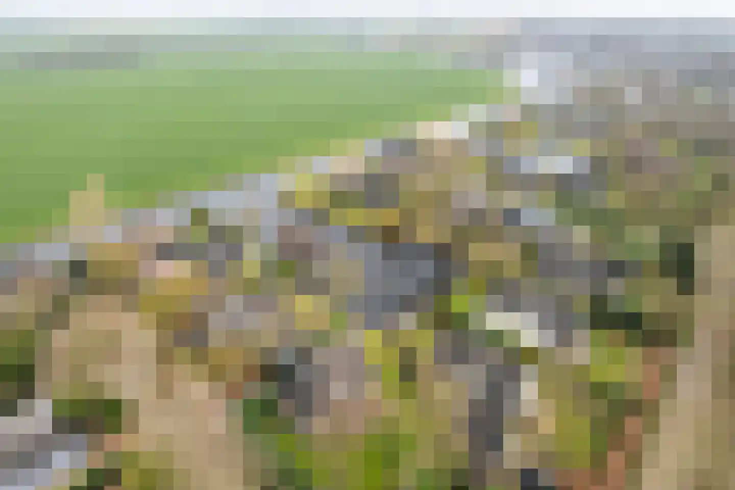 Lytse Mar 38 RECR Idskenhuizen thumbnail 34
